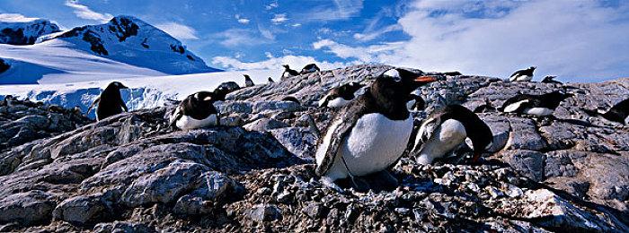 IGN盘点10款类似《原神》的游戏：推荐给原神玩累了的玩家