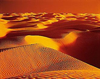 动作冒险游戏《权贵之地》现已正式发售 Steam平台已获好评